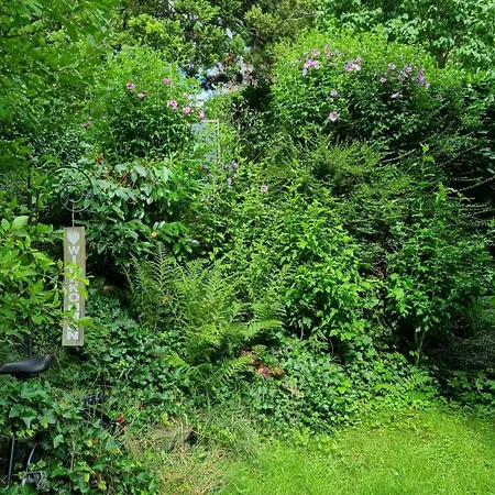 Ruhig & Gemuetlich Mit Natur In Hueschelrath Leichlingen